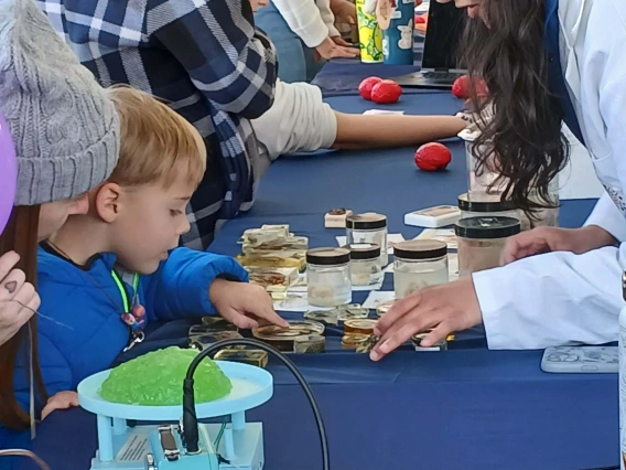 Science City